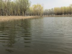 -东郊湿地公园