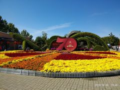 -大兴滨河森林公园