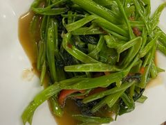 -陈根记大牌档