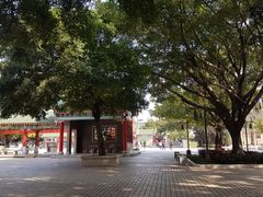 -广东圆玄道观