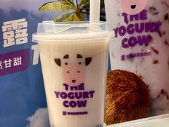 -一只酸奶牛(八一路店)