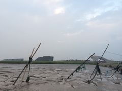 南汇嘴观海公园-南汇嘴观海公园