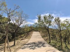 -北京西山国家森林公园