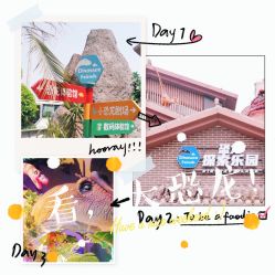 -恐龙探索乐园(磁器口店)