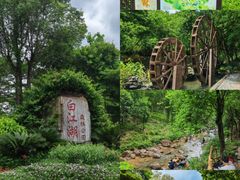 -广州白江湖森林公园