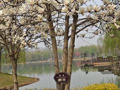 -河北省园博园