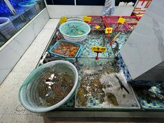 -阿里元老宋海鲜大排档(明发店)