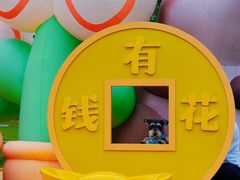 -黄龙溪欢乐田园