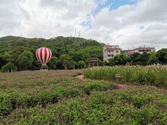 -玫瑰小镇