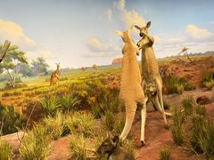 -陕西自然博物馆