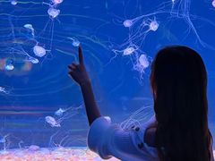 -欢乐海岸海洋奇梦馆