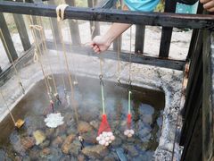 -天芳悦潭度假村温泉