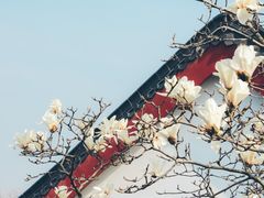 -堤角公园