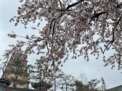 -大雁塔北广场音乐喷泉