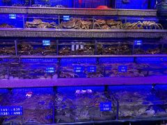 -青蓬蒸汽海鲜·深圳老字号·团建聚会(壹方城店)