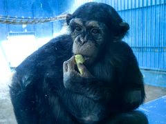 -南通金石国际大酒店