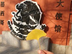 -三里屯东五街银杏大道