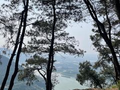 -铁山坪森林公园