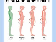 -体博士·疼痛调理·体态矫正·运动康复中心(大望路华贸店)