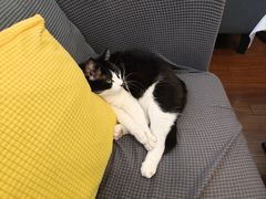 -路易时光(蕴川路店)