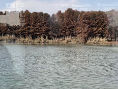 -苏州太湖国家湿地公园