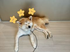 -YCHL Studios健身工作室(市二宫店)