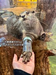 -Zoolung Zoolung动物主题公园(海信广场店)