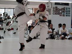 -极真空手道修远道场