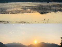 -北岐滩涂