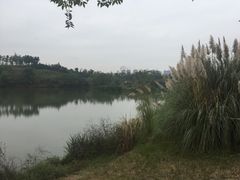 -白鹭湾湿地公园