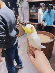 -Zoolung Zoolung动物主题公园(海信广场店)