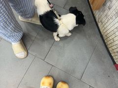 -联合动物医院(光谷诊疗中心)