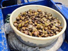 -海鸥岛河景湖大排档