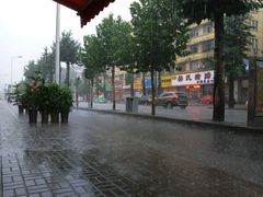 -逍遥老杨家胡辣汤(纱厂北路店)