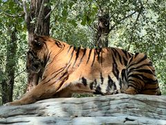 -北京野生动物园