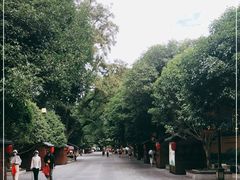 -桂林独秀峰王城景区