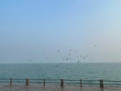 -悦海公园