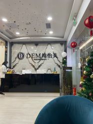 -DEM缔怡美科技美容