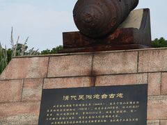 -上海吴淞炮台湾国家湿地公园
