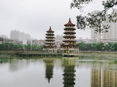 -宝岛公园