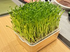 -海底捞火锅(王府井银泰in88店)