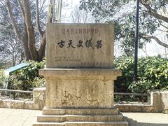 -紫金山天文台