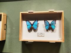 -四川宋瓷博物馆