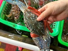 -众味海鲜大排档·活海鲜·潮汕味(南澳店)