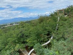 -欢乐松鼠谷