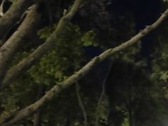 -墨池公园