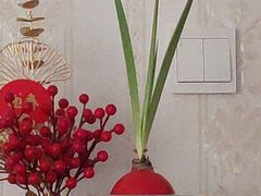 -八喜冰淇淋蛋糕(富国店)