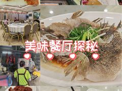 -姚林轩