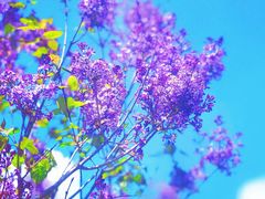 -哈尔滨师范大学(松北校区)