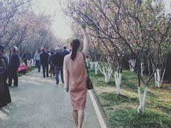 -昆明动物园